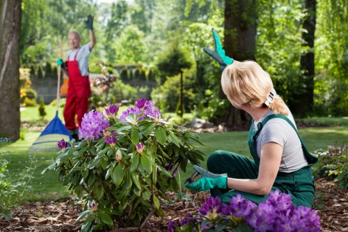 Garden maintenance work in an East Finchley front garden