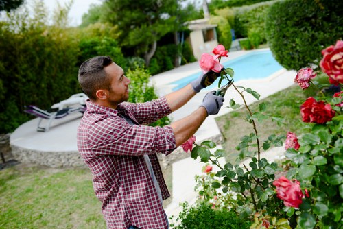 Gardener carrying out safe maintenance work with protective equipment
