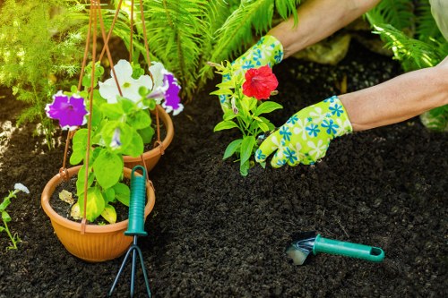 Client complaint review for a gardening service