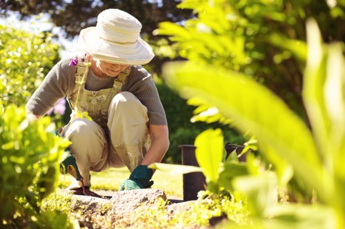 Local East Finchley garden maintenance with lawn and hedge care