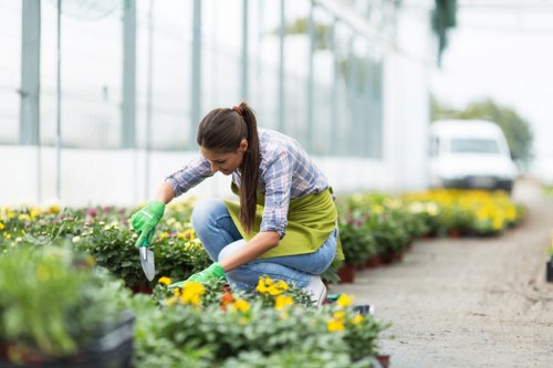 Free quote policy for Gardeners East Finchley services