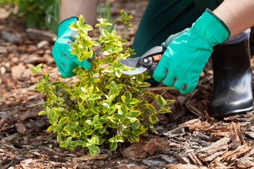 Recording a gardening service concern carefully