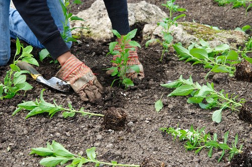 Review stage of a gardening complaint procedure