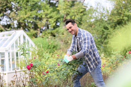Professional garden planning for a local East Finchley property