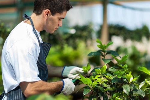 Final resolution step in a gardeners complaints process