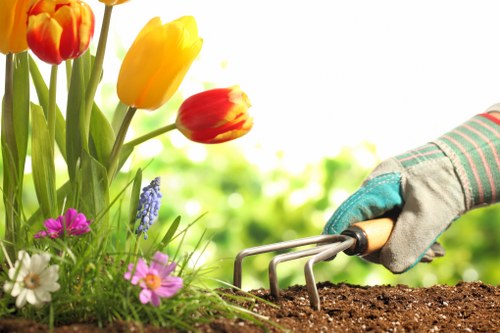 Professional lawn mowing in East Finchley for a healthy green garden