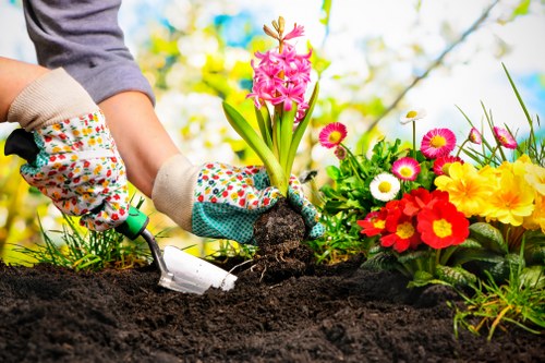 Illustration of ongoing accessibility improvements for East Finchley gardeners