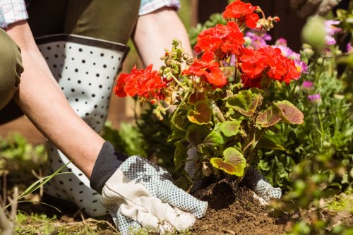 Soft landscaping and seasonal planting in an East Finchley garden