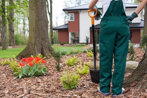 Gardening safety checks before using tools and equipment
