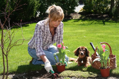 Governing law and final agreement wording for garden service terms