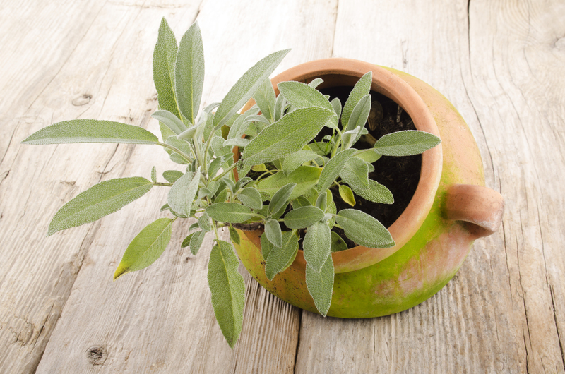 irrigation system garden